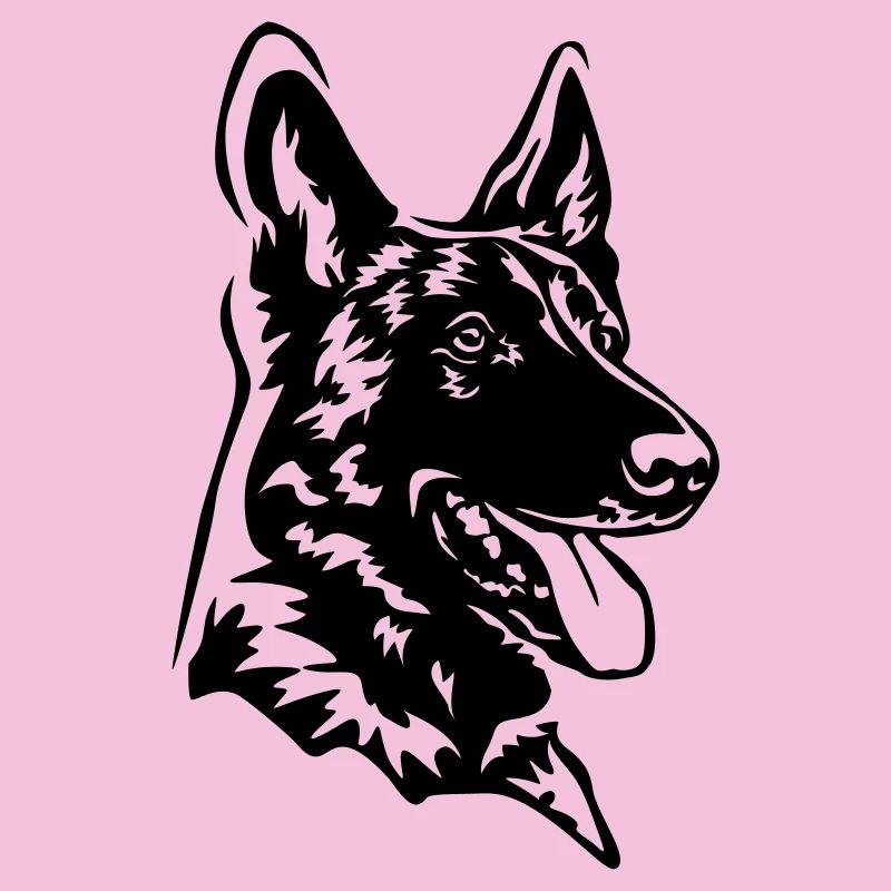 Malinois Kopf