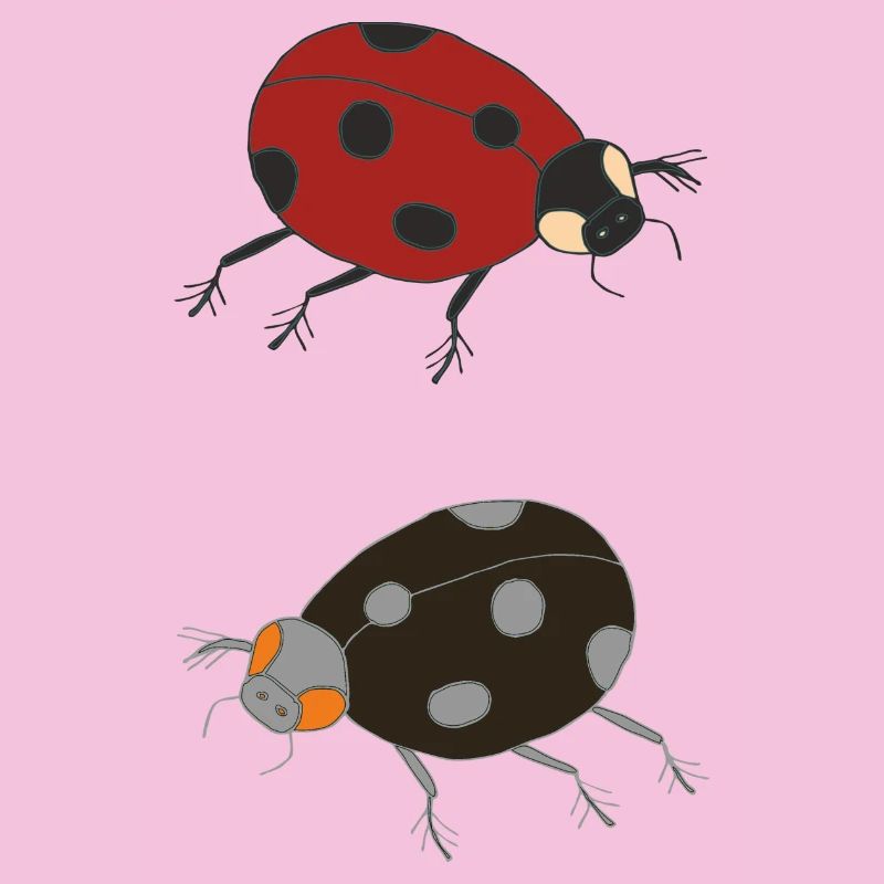 ladybug duo colored