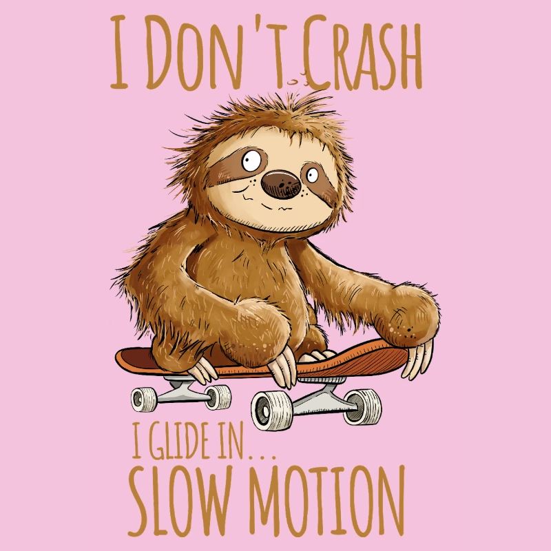 Sloth With Skateboard Saying I Don't Crash