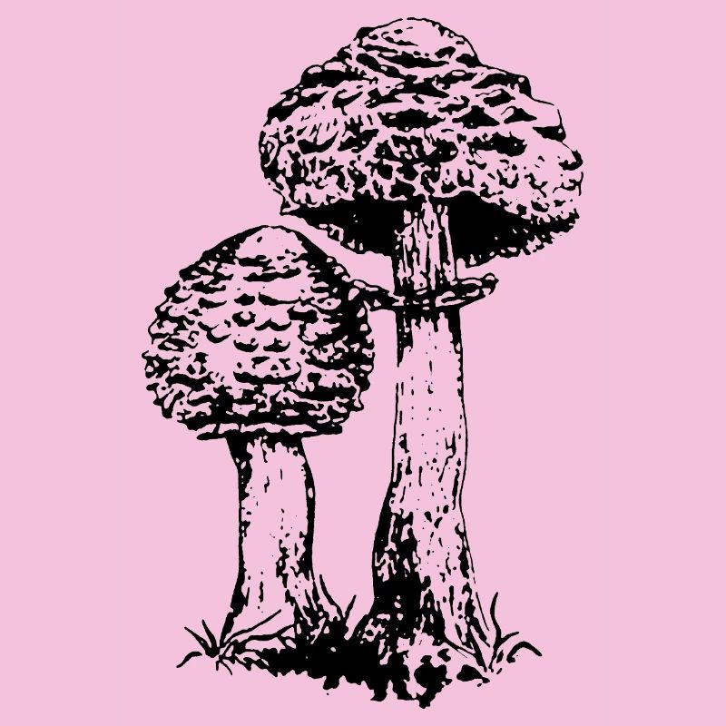 ACCUMULATEUR CHAMPIGNON