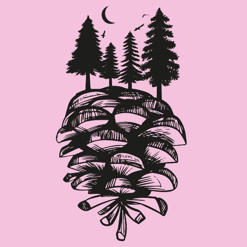 Pine Cone Nature Forest