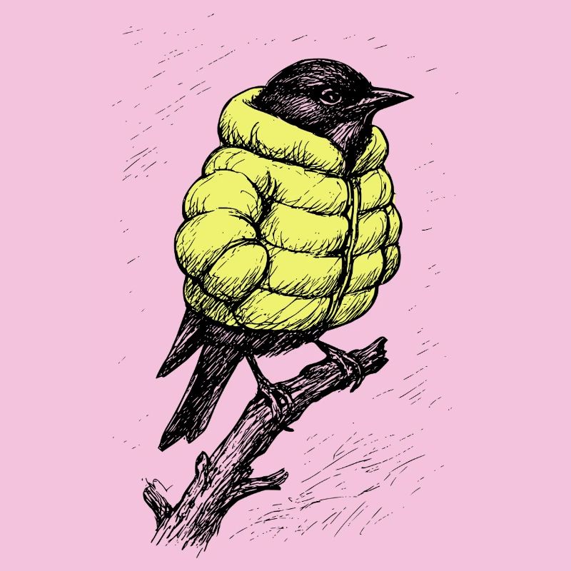 Oiseau d’hiver