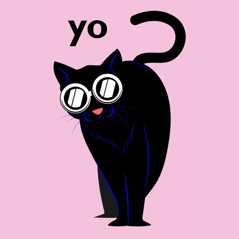 Katze Katzen