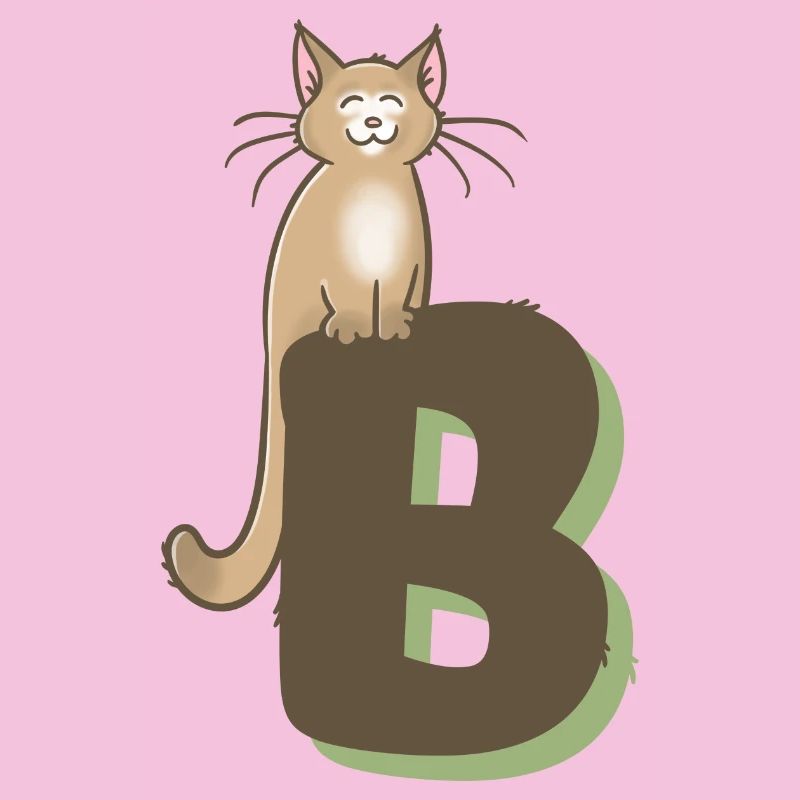 Lettre B du chat