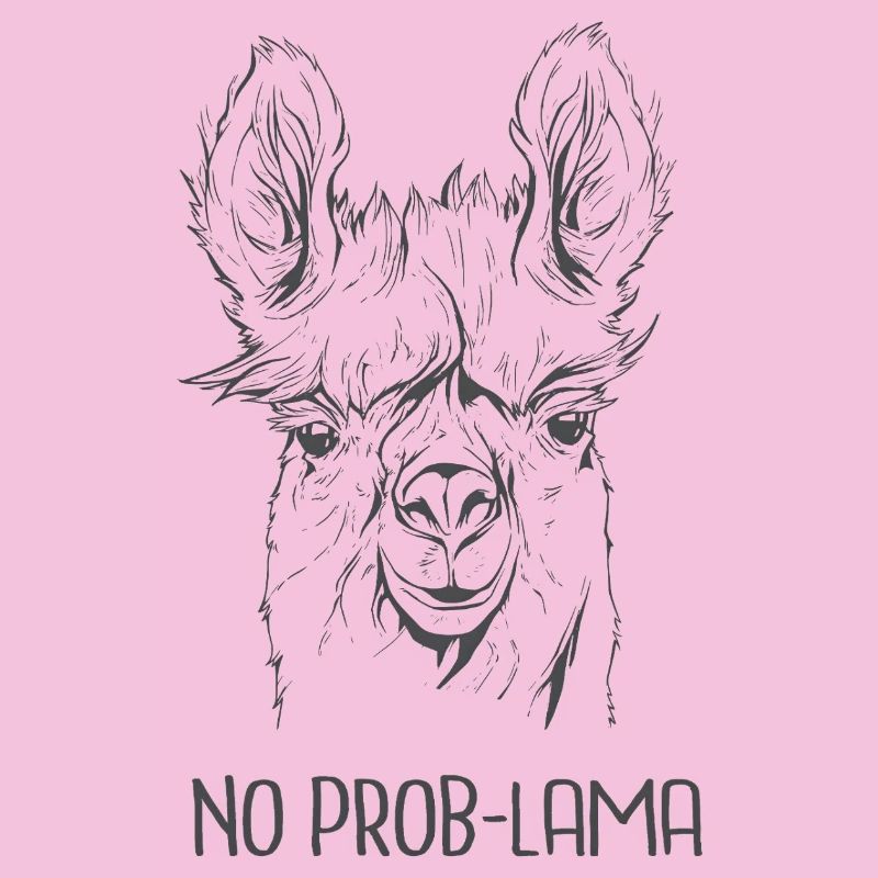 Pas de problème – Alpaga cool : expression drôle