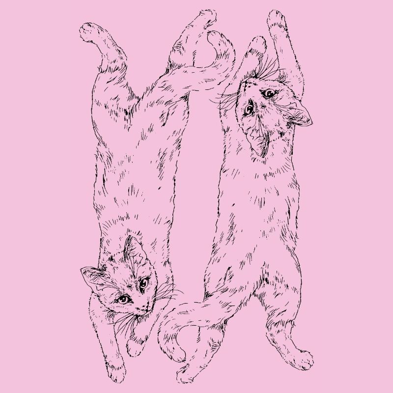 Chats