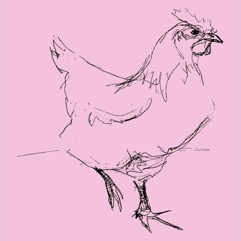 Huhn