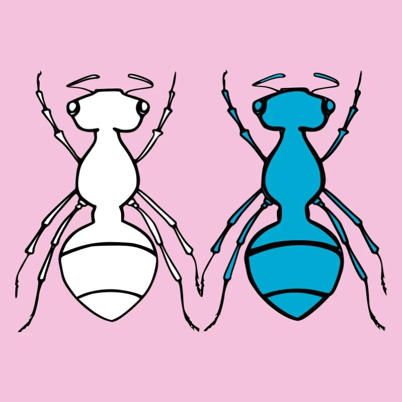Ant Duo