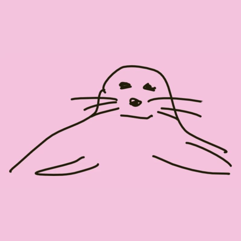 seal seals seal seals animals