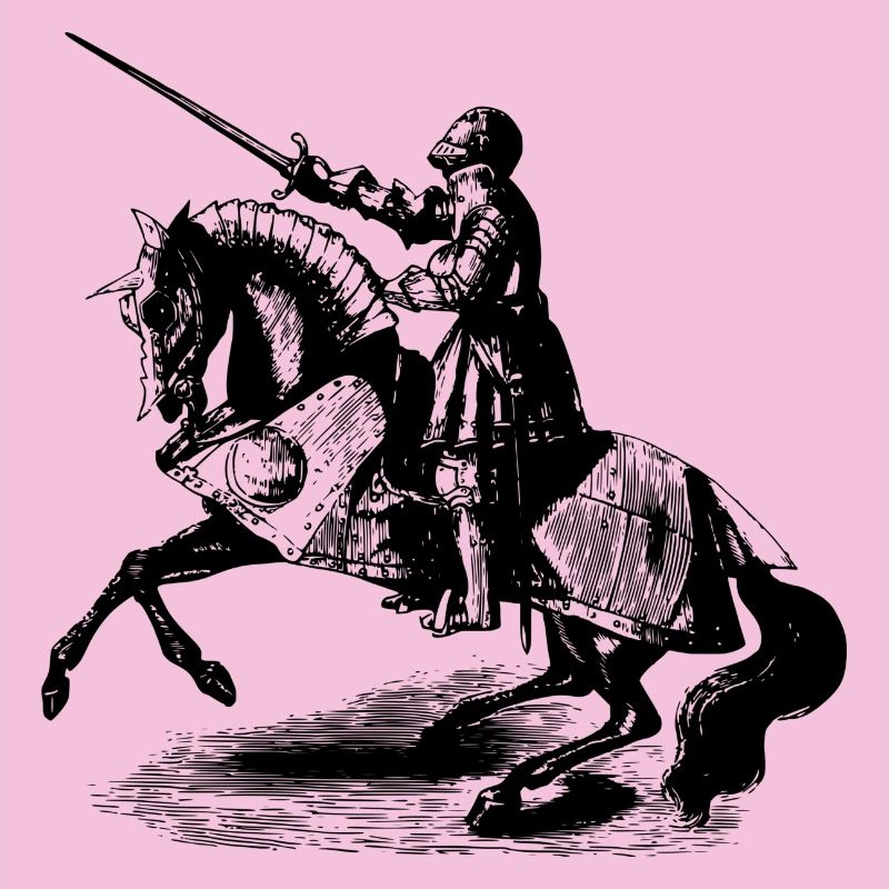 Chevaliers à cheval