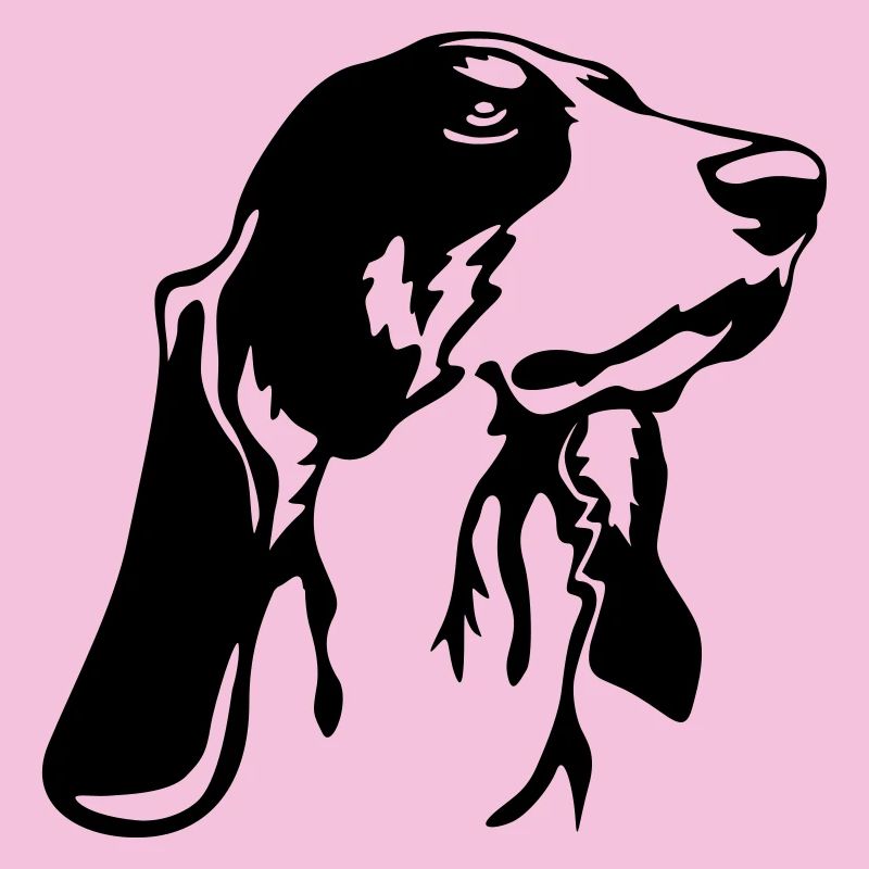 Berner Laufhund Kopf