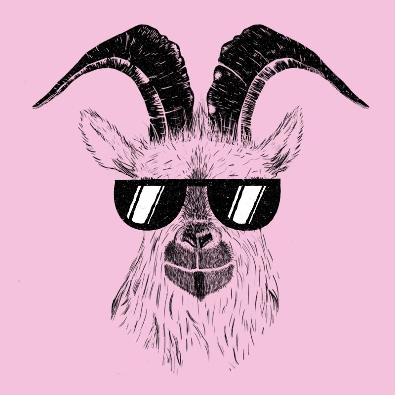 Goat goats