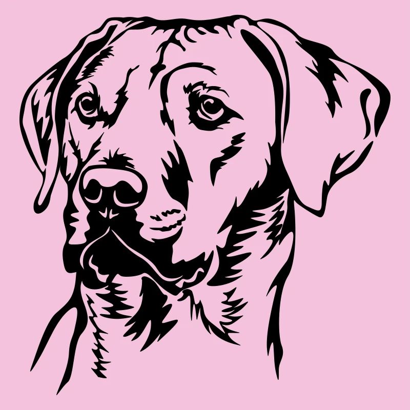 Rhodesian Ridgeback Kopf