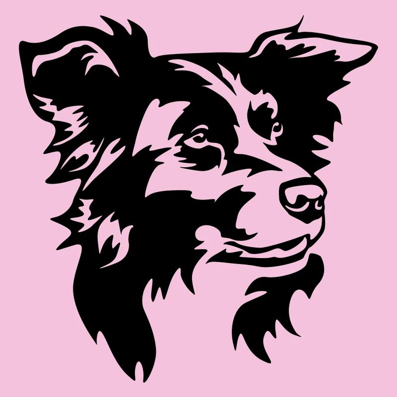 Border Collie Kopf