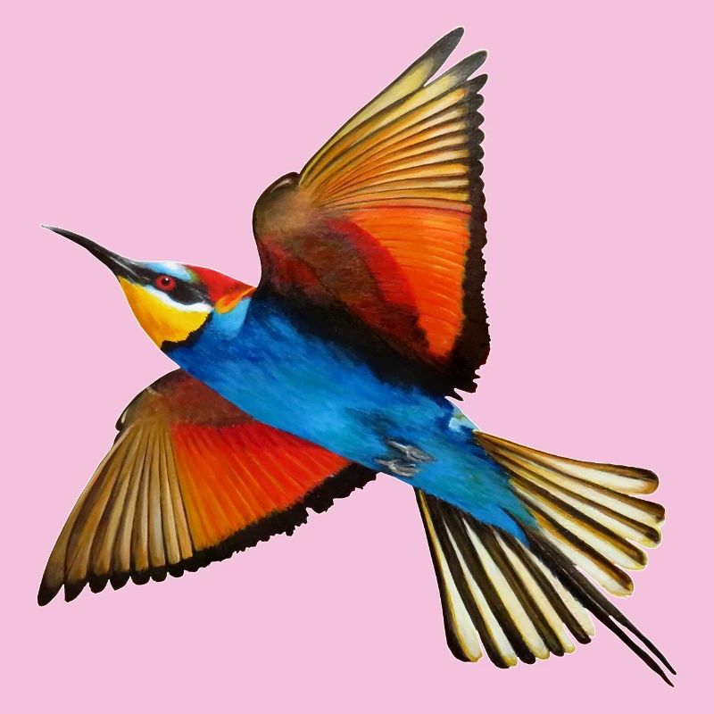 Guêpier Oiseau
