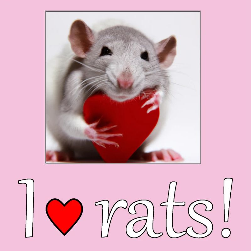 Ratte mit Herz