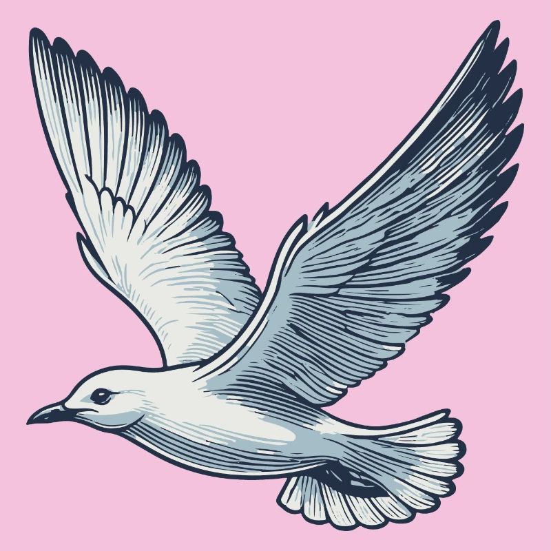 Mouette