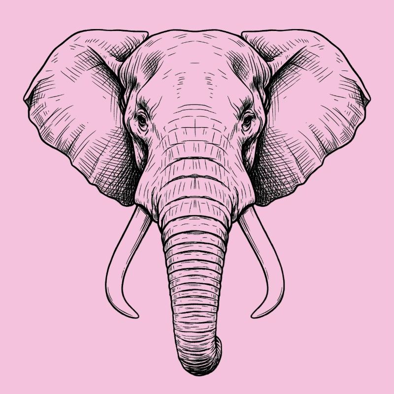 Elefant