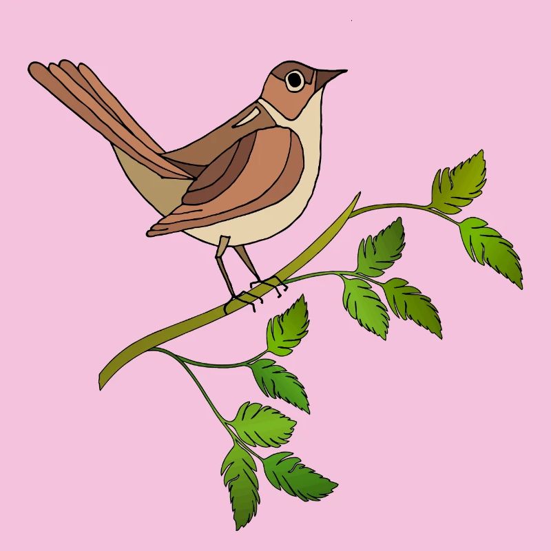 Bunter Vogel