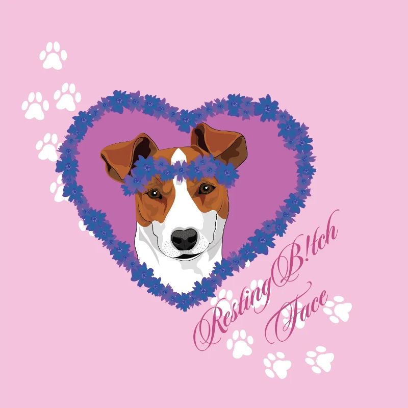 Ruhegesicht Jack Russel