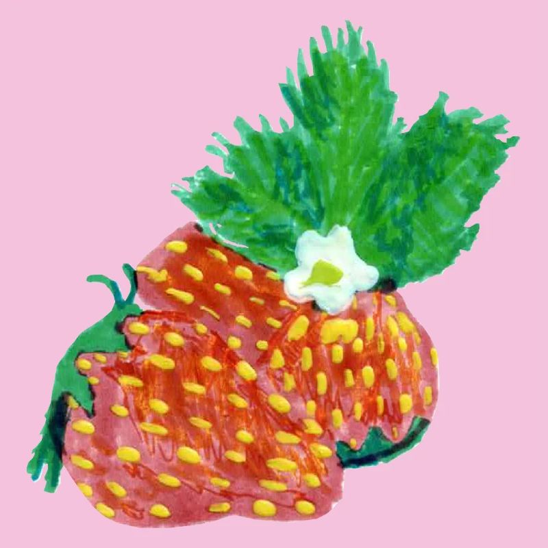 Erdbeeren Art