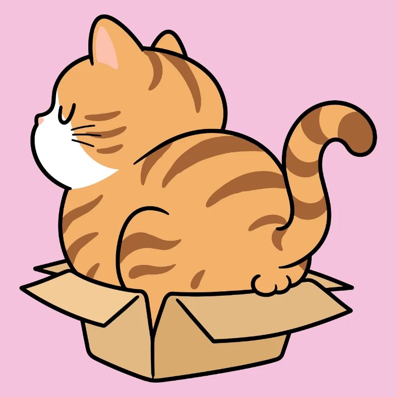 Chaton dans une boîte