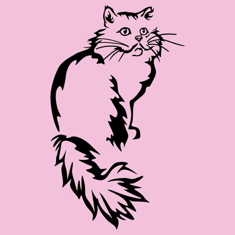 Persan - Chat persan