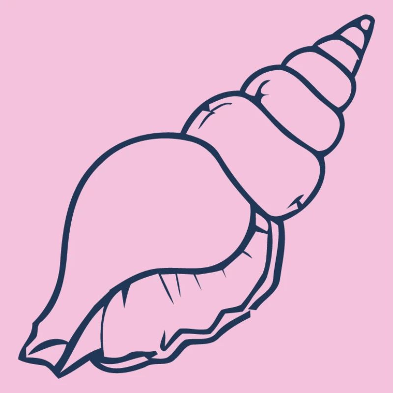 Seashell Minimal Ocean Beach Aesthetic Design