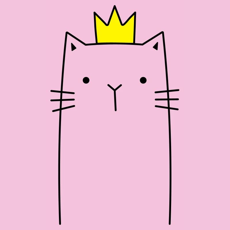 Chat avec cadeau prince princesse