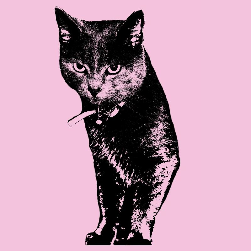 Katze Katzenshirt Geschenk
