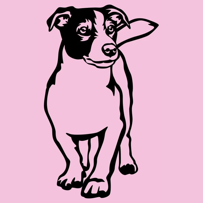 Jack Russell Terrier