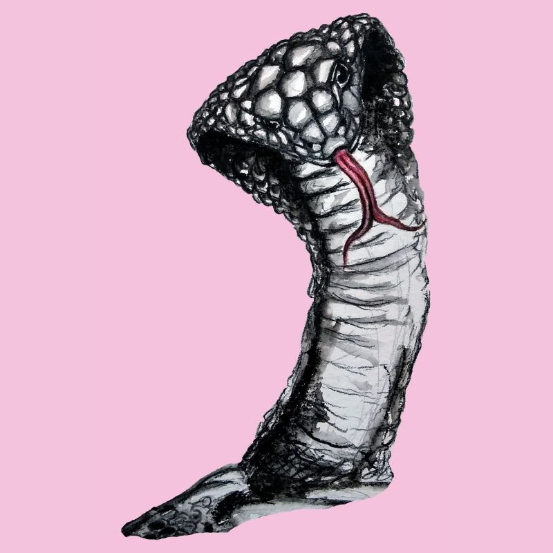 Cobra