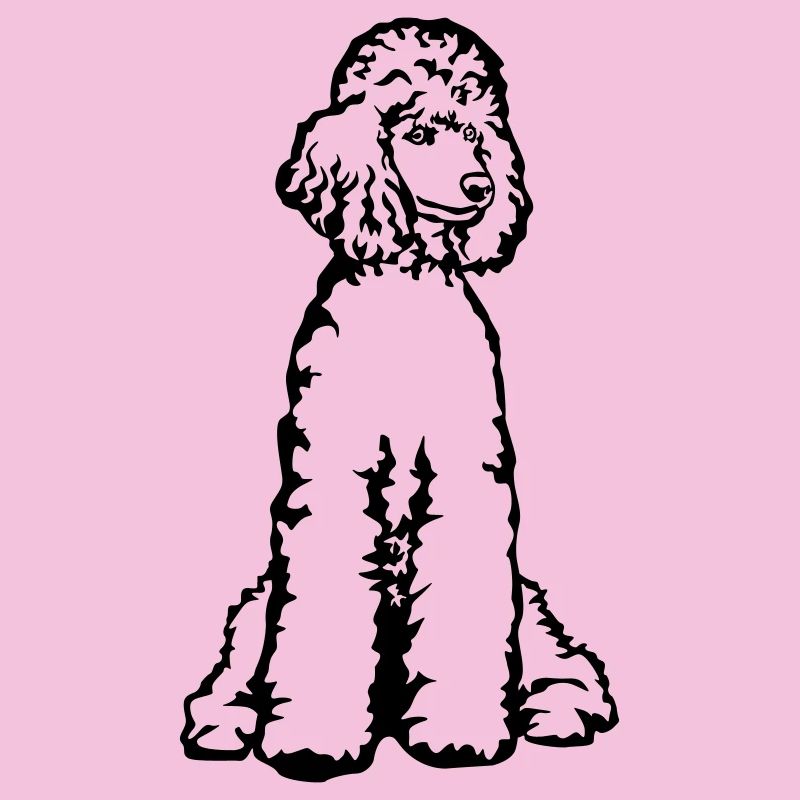 Caniche