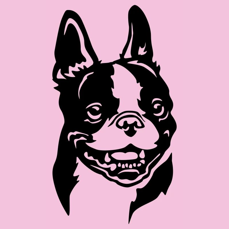Boston Terrier Head