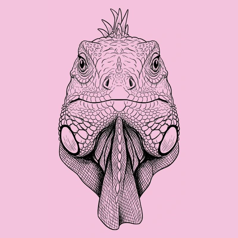 iguane