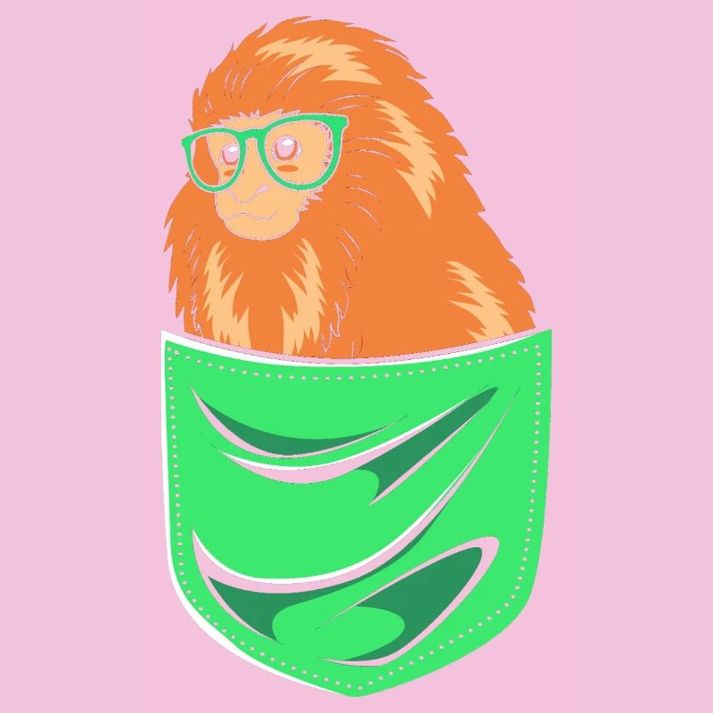 Tamarin Monkey