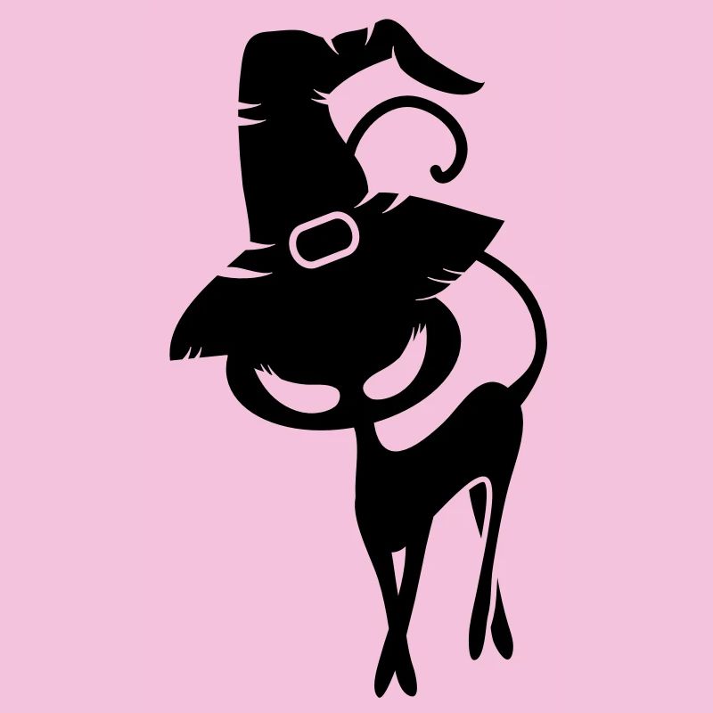 A black cat with Witchhat