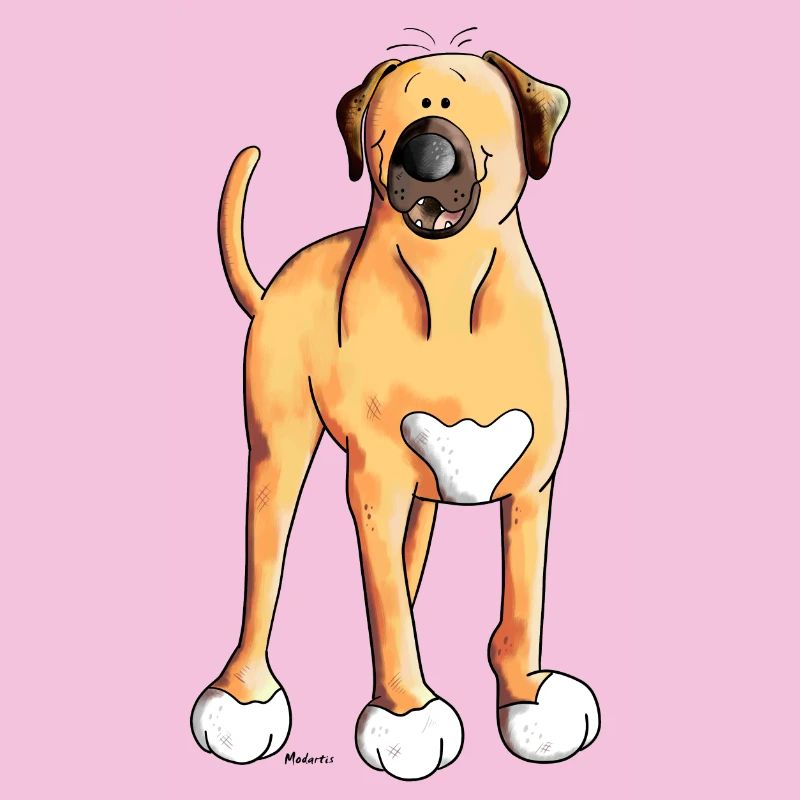 Baxter der Broholmer