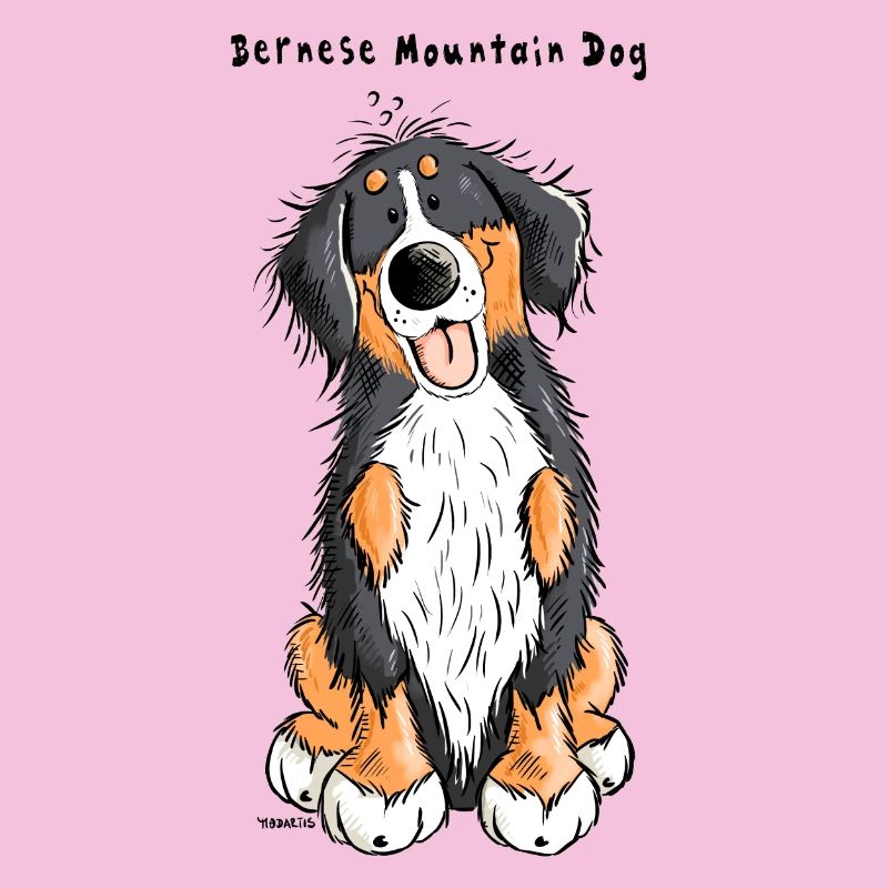 Berner Sennenhund mach Sitz