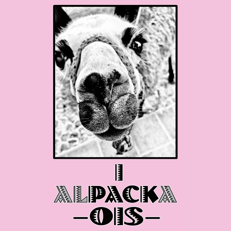 ALPACA - i pack ois - I can do everything - dialect