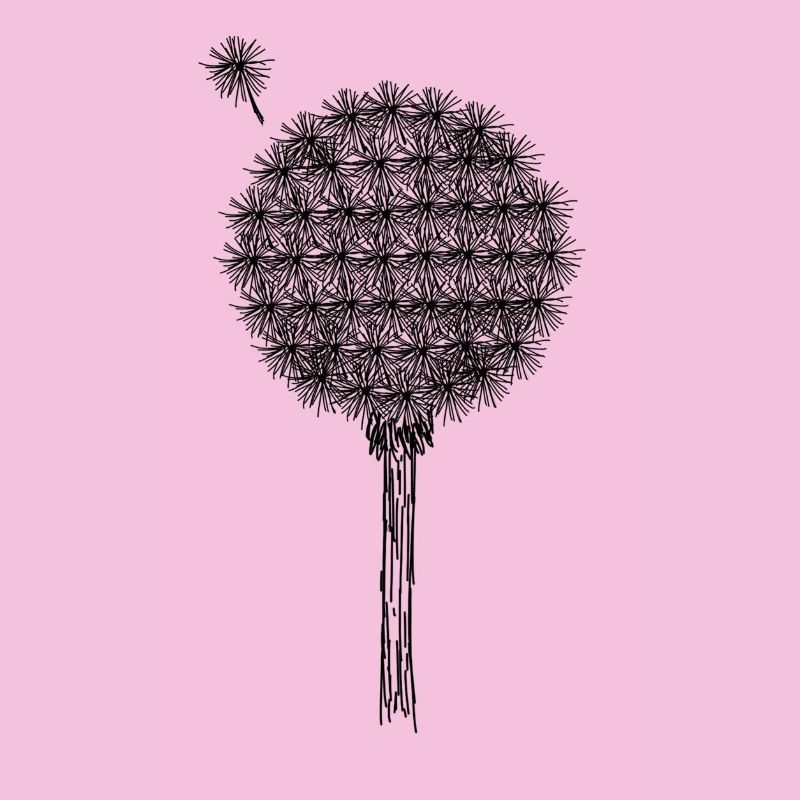 Dandelion