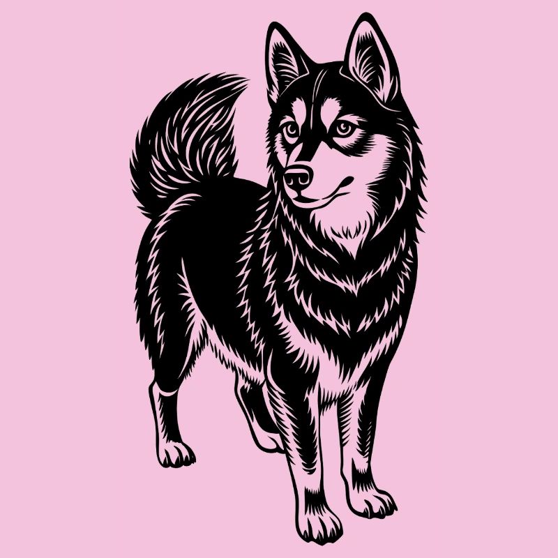 Alaskan klee kai