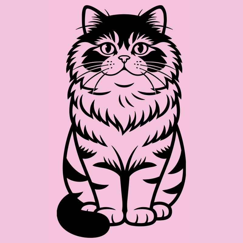 Chat persan