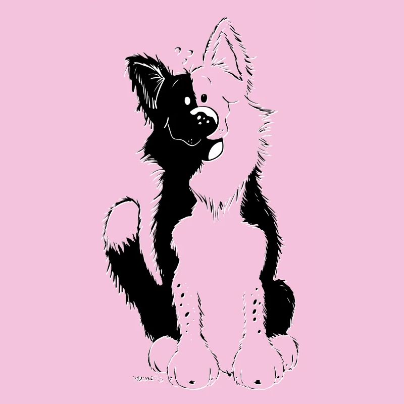 Witziger Border Collie