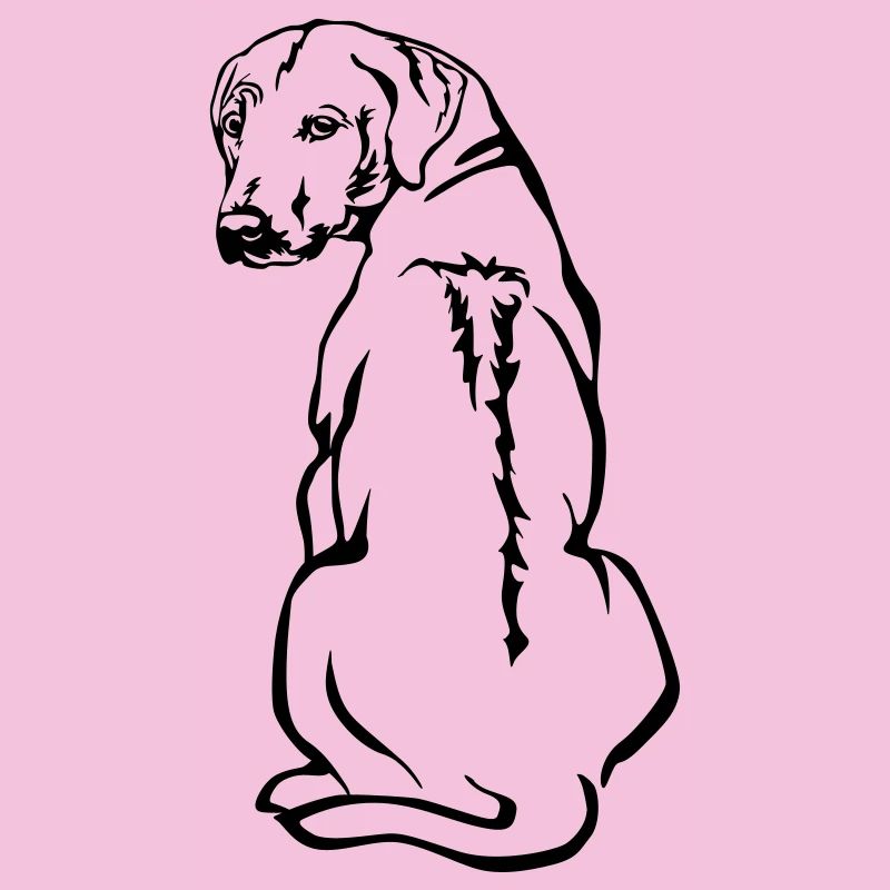 Rhodesian Ridgeback