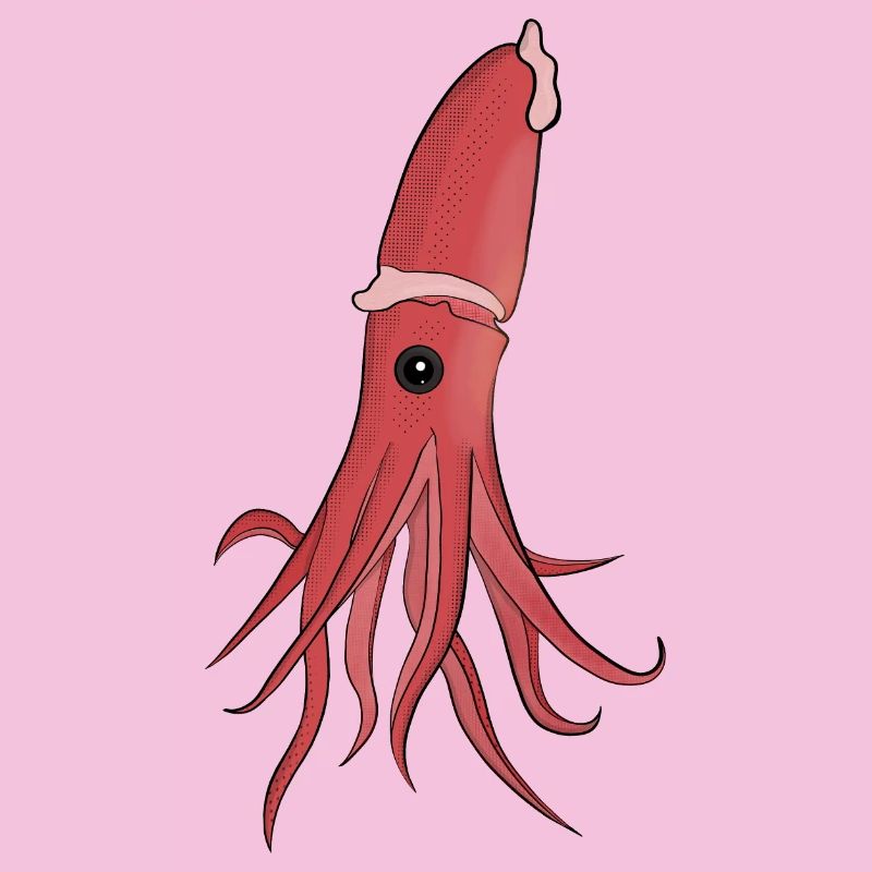 Sea Creatures A Beautiful Squid
