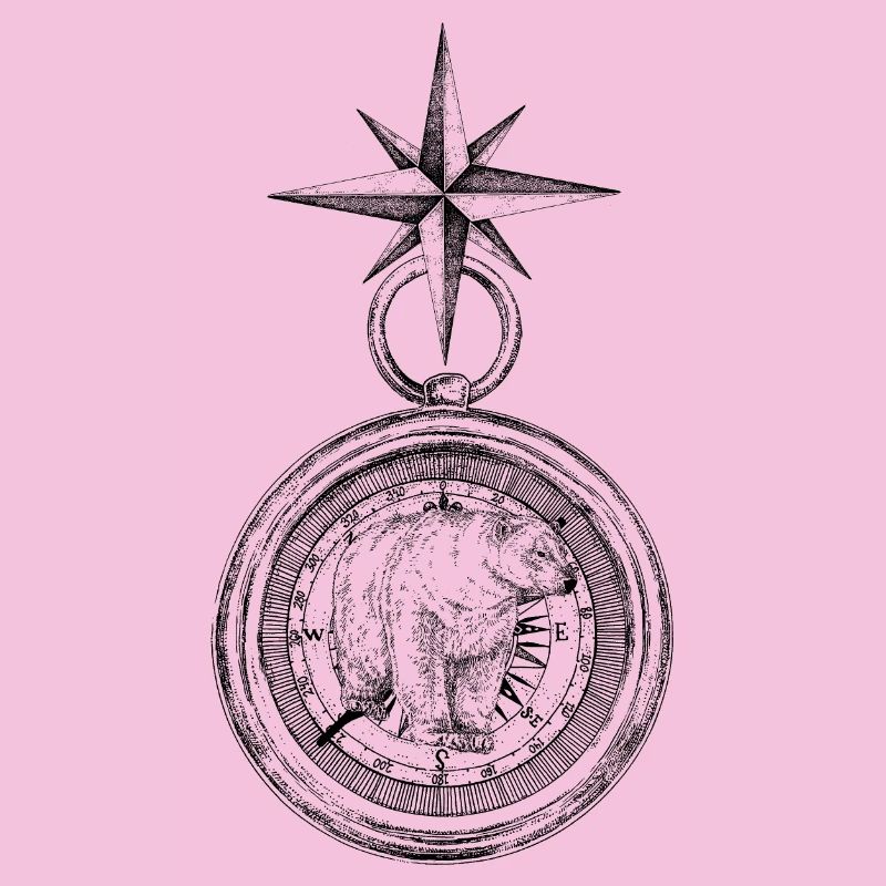ARCTIC COMPASS