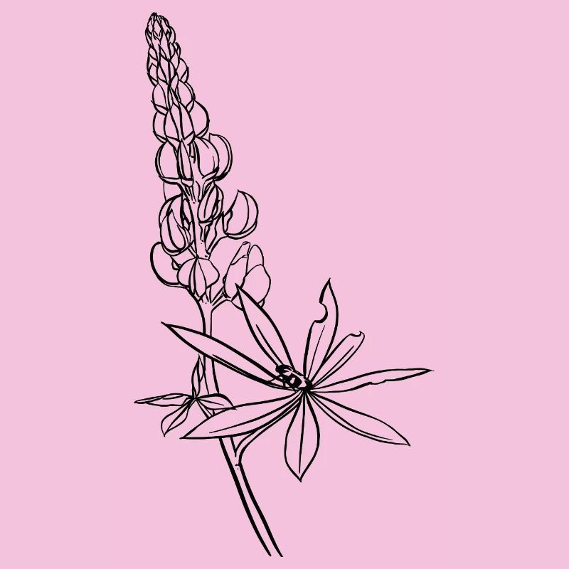 Lupine mit Kaefer