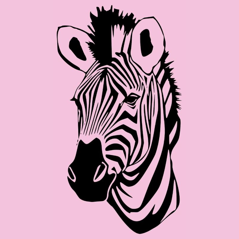 Zebra T-shirt Gift