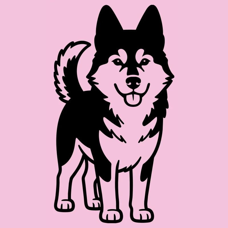 Husky-Hund